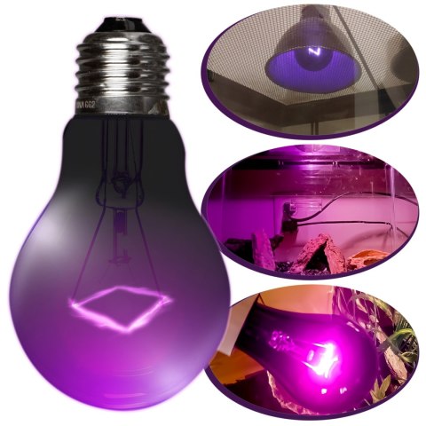 Repti-Zoo Night Heat Bulb 75W - żarówka grzewcza nocna Repti-Zoo