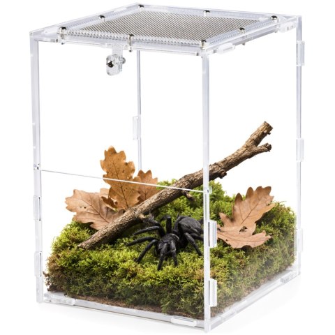 Repti-Zoo PACR85 Acrylic Terrarium - terrarium akrylowe 15x16x20cm Repti-Zoo