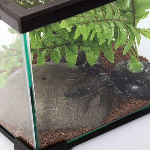Repti-Zoo Terrarium AK 21x21x15 Repti-Zoo