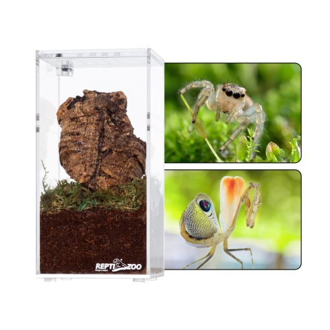 Repti-Zoo Terrarium akrylowe wysokie 7,5x7,5x15cm Repti-Zoo