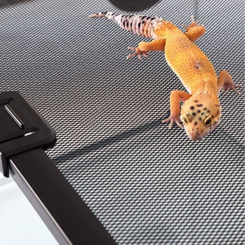 Repti-Zoo terrarium RAK 50x30x35cm Repti-Zoo
