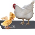 Resun Heating Mat 4W - mata grzewcza PVC 10x17cm Resun