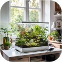 Terrario Amarillo 35W - mata grzewcza z termostatem LCD Terrario