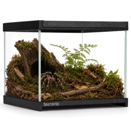 Terrario Frevo Clear Terrarium 20x20x17cm - terrarium szklane Terrario