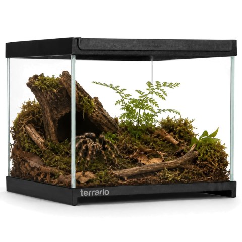 Terrario Frevo Clear Terrarium 20x20x17cm - terrarium szklane Terrario
