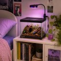 Terrario Frevo Clear Terrarium 20x20x17cm - terrarium szklane Terrario