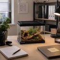 Terrario Frevo Clear Terrarium 20x20x17cm - terrarium szklane Terrario