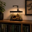 Terrario Frevo Clear Terrarium 20x20x17cm - terrarium szklane Terrario
