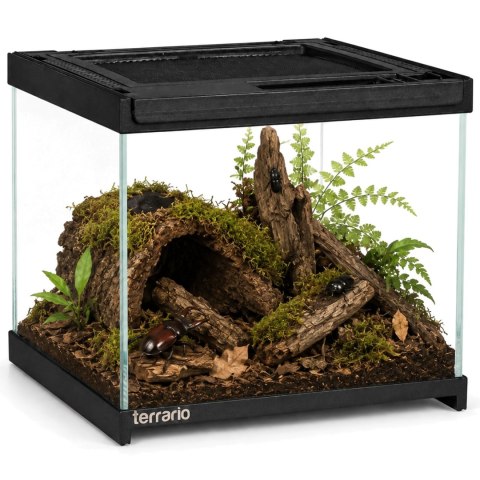 Terrario Frevo Clear Terrarium 20x20x17cm - terrarium szklane Terrario