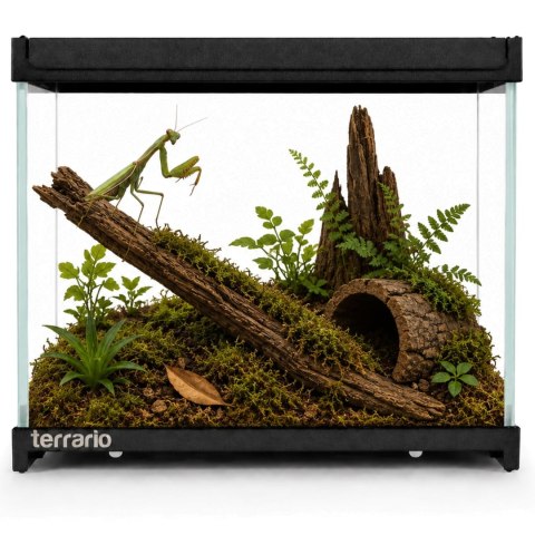 Terrario Frevo Clear Terrarium 20x20x17cm - terrarium szklane Terrario