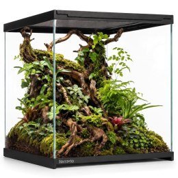Terrario Frevo Clear Terrarium 30x30x30cm - terrarium szklane Terrario