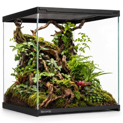 Terrario Frevo Clear Terrarium 30x30x30cm - terrarium szklane Terrario