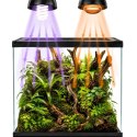 Terrario Frevo Clear Terrarium 30x30x30cm - terrarium szklane Terrario