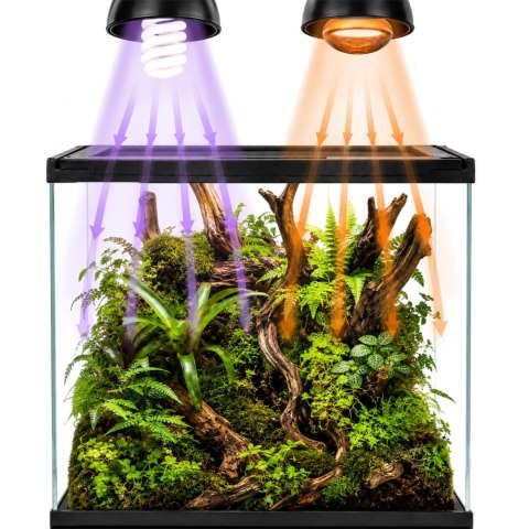 Terrario Frevo Clear Terrarium 30x30x30cm - terrarium szklane Terrario