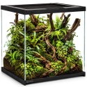 Terrario Frevo Clear Terrarium 30x30x30cm - terrarium szklane Terrario