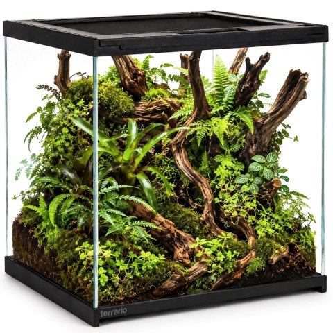 Terrario Frevo Clear Terrarium 30x30x30cm - terrarium szklane Terrario