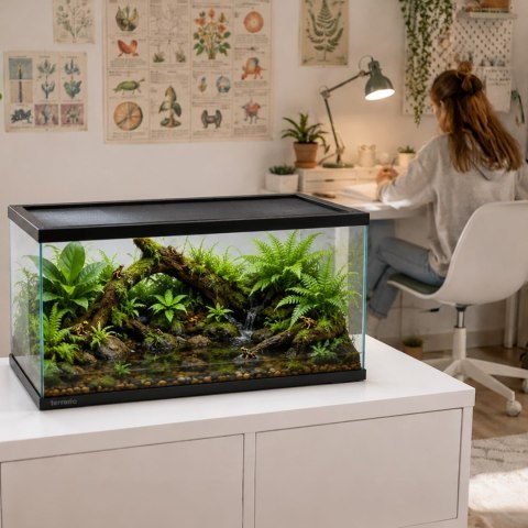 Terrario Frevo Clear Terrarium 50x30x30cm - terrarium szklane Terrario