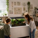 Terrario Frevo Clear Terrarium 50x30x30cm - terrarium szklane Terrario