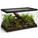 Terrario Frevo Clear Terrarium 50x30x30cm - terrarium szklane Terrario