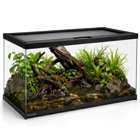 Terrario Frevo Clear Terrarium 50x30x30cm - terrarium szklane Terrario