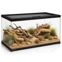 Terrario Frevo Clear Terrarium 50x30x30cm - terrarium szklane Terrario