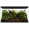 Terrario Frevo Clear Terrarium 50x30x30cm - terrarium szklane Terrario
