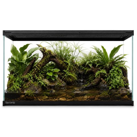 Terrario Frevo Clear Terrarium 50x30x30cm - terrarium szklane Terrario