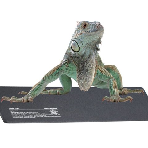 Terrario Repti-Pad PVC 40W - wodoodporna mata grzewcza Terrario