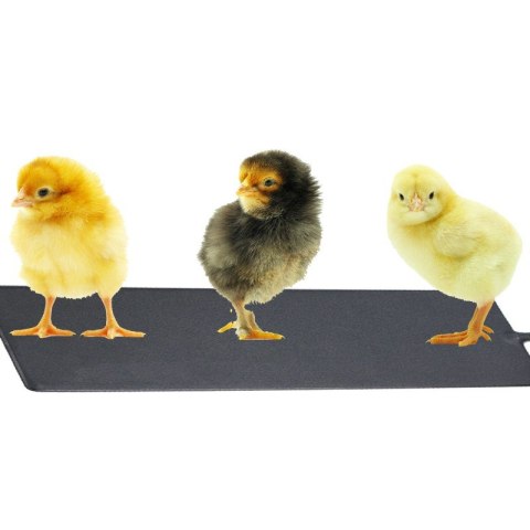 Terrario Repti-Pad PVC 40W - wodoodporna mata grzewcza Terrario