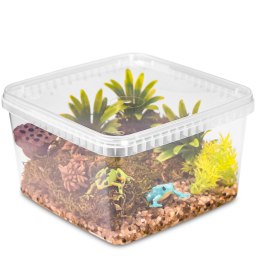 Terrario ReptiBox 19x19x12cm - przeźroczyste terrarium faunarium Terrario