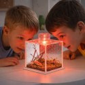 Terrario SpiderNook M - mini terrarium akrylowe z oświetleniem Terrario