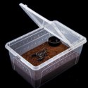 Terrario Terrarium Faunarium 26x18x13cm Terrario