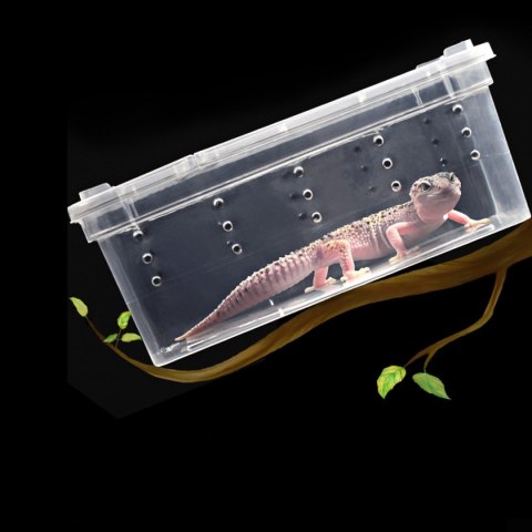 Terrario Terrarium Faunarium 33x22x15cm Terrario