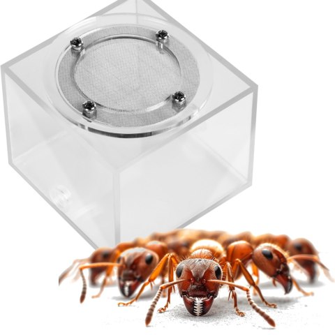 Ant Expert New Land - arena moduł do formikarium Ant Expert