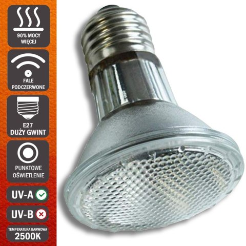 Komodo Halogen 50W - halogen grzewczy 3w1 Komodo