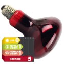 Komodo Infrared 100W - żarówka grzewcza podczerwona Komodo
