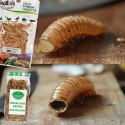 ProBugs Eco-Fresh Scolopendra Centipede 15 x 2pcs - świeże skolopendry 15 saszetek ProBugs