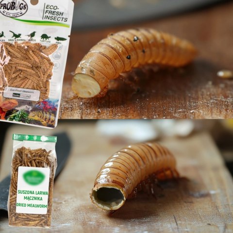 ProBugs Eco-Fresh Scolopendra Centipede 15 x 2pcs - świeże skolopendry 15 saszetek ProBugs