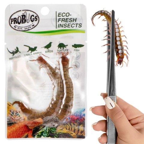 ProBugs Eco-Fresh Scolopendra Centipede 15 x 2pcs - świeże skolopendry 15 saszetek ProBugs