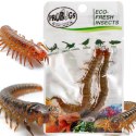 ProBugs Eco-Fresh Scolopendra Centipede 15 x 2pcs - świeże skolopendry 15 saszetek ProBugs