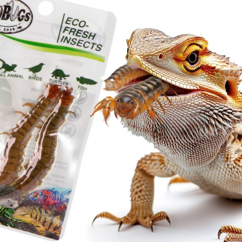 ProBugs Eco-Fresh Scolopendra Centipede 15 x 2pcs - świeże skolopendry 15 saszetek ProBugs