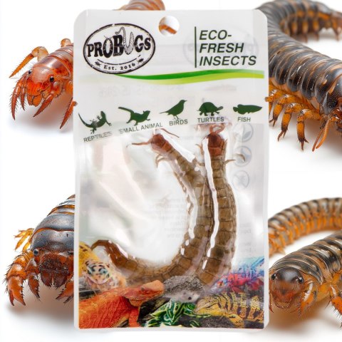 ProBugs Eco-Fresh Scolopendra Centipede 15 x 2pcs - świeże skolopendry 15 saszetek ProBugs