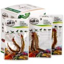 ProBugs Eco-Fresh Scolopendra Centipede 15 x 2pcs - świeże skolopendry 15 saszetek ProBugs