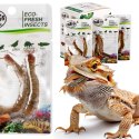ProBugs Eco-Fresh Scolopendra Centipede 15 x 2pcs - świeże skolopendry 15 saszetek ProBugs