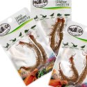 ProBugs Eco-Fresh Scolopendra Centipede 15 x 2pcs - świeże skolopendry 15 saszetek ProBugs