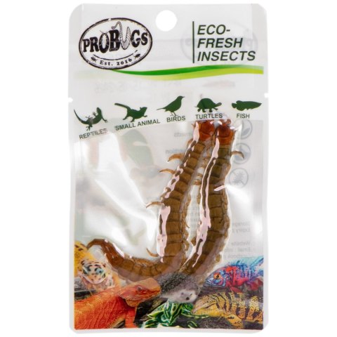 ProBugs Eco-Fresh Scolopendra Centipede 15 x 2pcs - świeże skolopendry 15 saszetek ProBugs