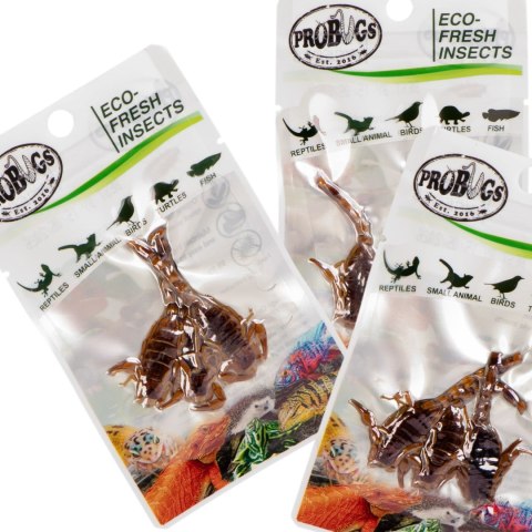 ProBugs Eco-Fresh Scorpion 15 x 3pcs - świeże skorpiony 15 saszetek ProBugs