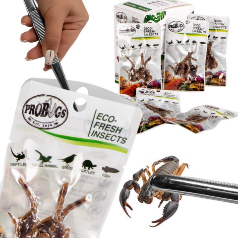 ProBugs Eco-Fresh Scorpion 15 x 3pcs - świeże skorpiony 15 saszetek ProBugs