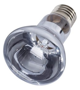 Repti-Zoo Neodymium Daylight 35W - żarówka grzewcza neodymowa Repti-Zoo