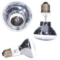 Repti-Zoo Neodymium Daylight 35W - żarówka grzewcza neodymowa Repti-Zoo